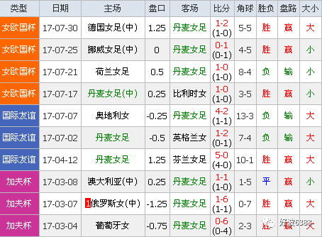 乐动体育投注-奥地利胜出，晋级欧锦赛四强巅峰